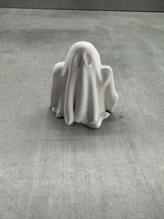 Duch 3D