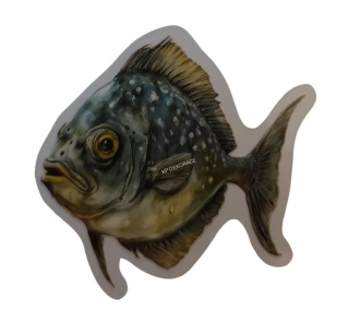 Placka jako magnet - Moře 3